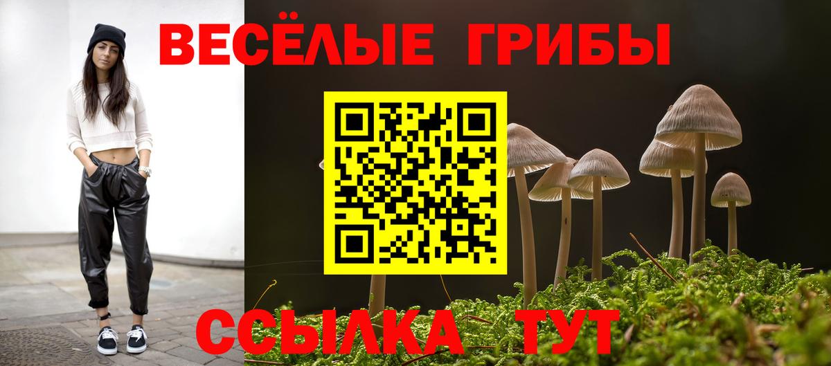 Псилоцибиновые грибы Cubensis Норильск